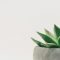 BO Studio WordPress Theme